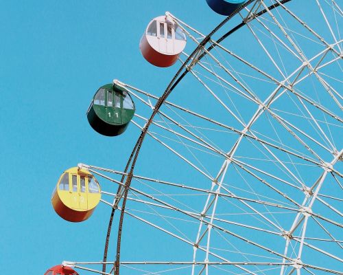 Al via gli undici Gruppi di lavoro CIRSE