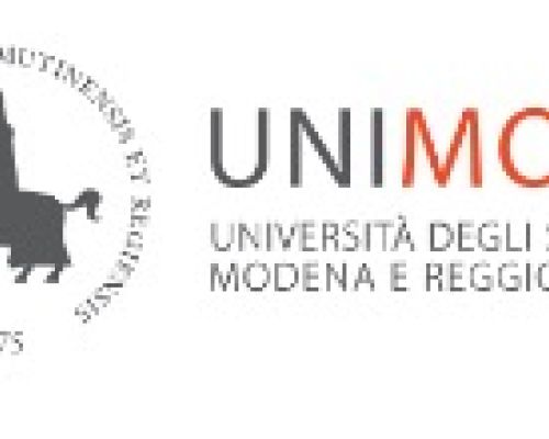 CFP Summer school "Analfabetismi ad alto costo sociale: strumenti di ricerca per la loro riduzione" (Reggio Emilia 1-4 settembre 2025"